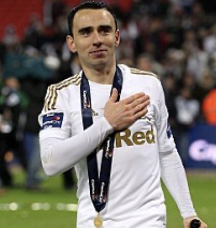 garryleechswans's tweet photo. Welcome home Leon! Back where you belong #yjb #JackAtHome https://t.co/755iavLTti