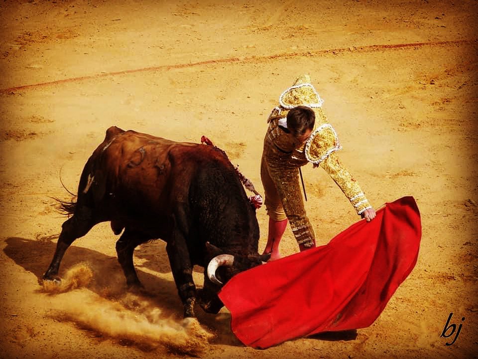 jfmolina__'s tweet photo. El destino decidirá.. Gracias a la vida por estos momentos! Dax..☀️ Gracias de nuevo! https://t.co/mRIVzdkn5i