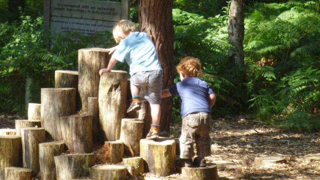 Children develop skills through play. Climbing is developing motor skills, muscle development, hand and eye co ordination and balance to name a few.