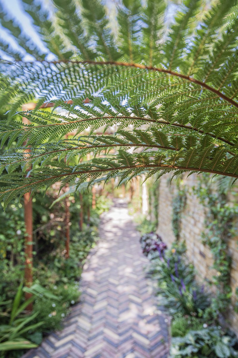 AdamRQuick's tweet photo. Loving these stunning photos by @d_apropertyphotography of an Ealing design completed earlier this year. Garden built by @TendercareLtd brick pavers by @brickworksvandemoortel, bespoke corten pergola walkway, water feature by @adezz_gardenproducts, trellis by @gardentrellisco https://t.co/EwZKtcqWdZ