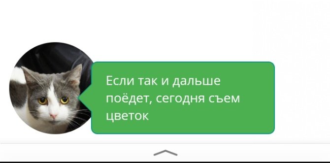 Моя нервная система настолько не устойчива, что я могу заплакать при виде этого