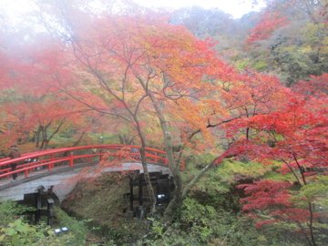 河鹿橋の紅葉21 見頃時期やライトアップ クチコミなど紹介 情報発信ブログサイト Blue Rose