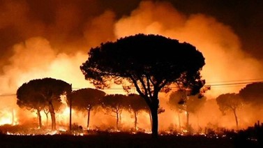 profeprimaria10's tweet photo. ATENCIÓN‼️⚠️
El Parque se puede ver afectado por la sobreexplotación de los acuíferos, el robo del agua, los vertederos y escombreras ilegales, los incendios, especies invasoras o la contaminación del aire. 
Cuidemos nuestro planeta🙏 
@SalvemosDonana 
#mipaisaje #DCSUVA https://t.co/BQamMugb6E