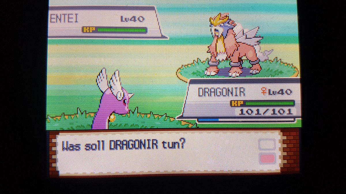 Felixavi2's tweet photo. @TheSakatiS shiny entei nach 1881 sr (3762 gesehen) https://t.co/X666f3U1v8
