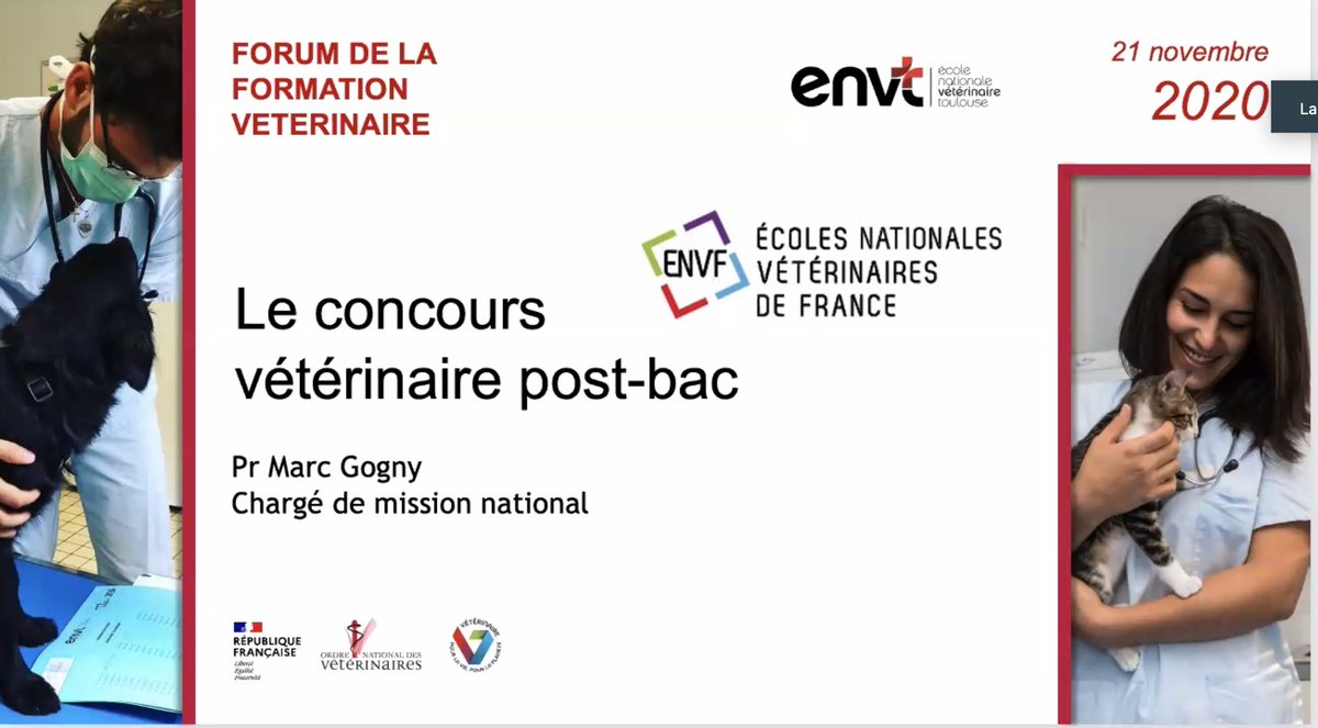 env_toulouse's tweet image. FORUM DE LA FORMATION VÉTÉRINAIRE - Marc Gogny, chargé de mission Concours vétérinaire post-bac : nouvelle voie d'accès post-bac aux ENVF.
✅ volonté de diversification sociale et territoriale
✅concours commun co-organisé ENVF sur #Parcoursup
 
➡️ Infos : bit.ly/3nKdgbn