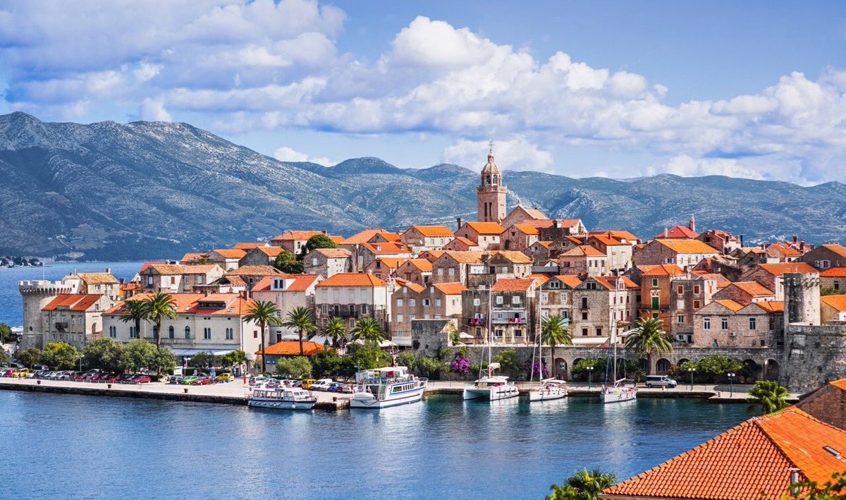 Andrea Ercegovac🇭🇷 tweet media