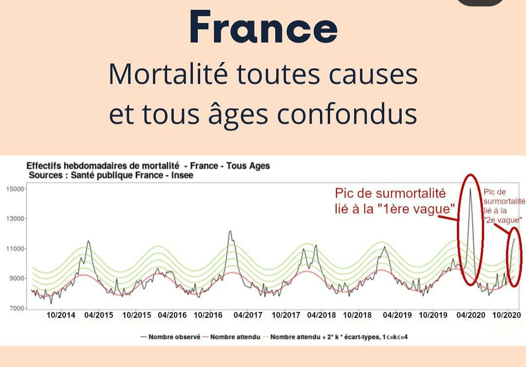 souflak's tweet photo. Les complotistes du Covid là franchement vous cassez les pieds. On voit bien qu'en avril 2020 on a atteint un pic jamais atteint auparavant à cause du... COVID! LE SEUL facteur nouveau et qui est donc bien responsable de tout ces morts en plus. https://t.co/rxOXkuhlWK