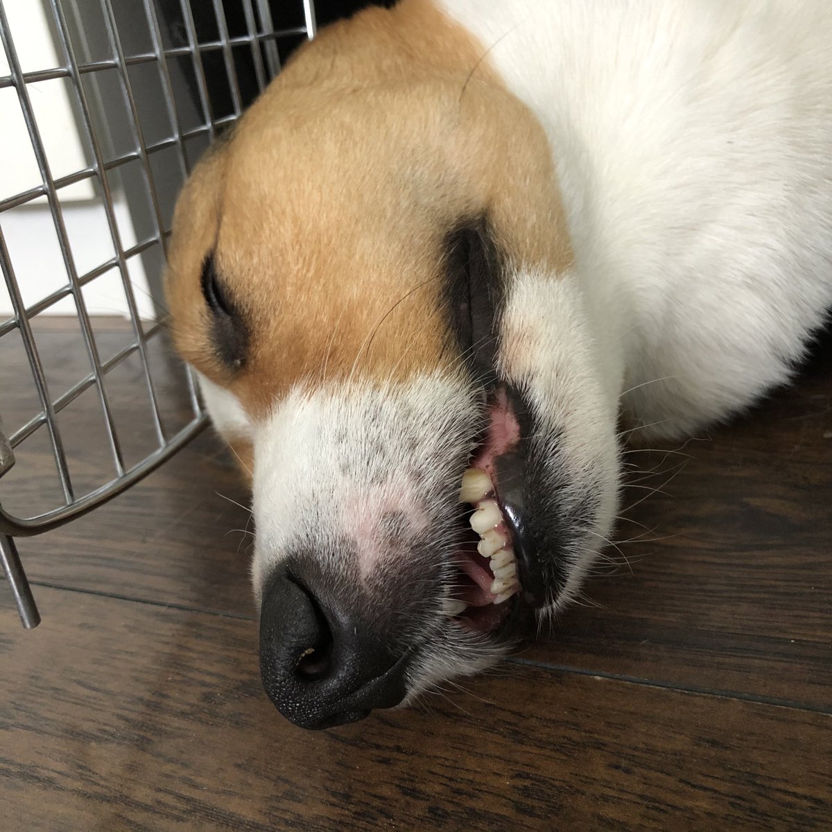 What a handsome young lad 😂