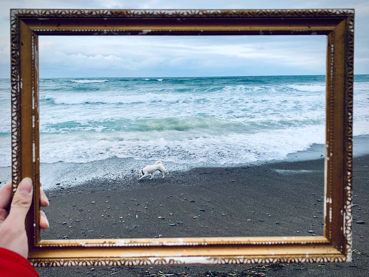 海で拾った額縁越しに写真を撮ってみたらこんな感じになった これがエモいというやつか なんとなくストーリー性が出るな Togetter