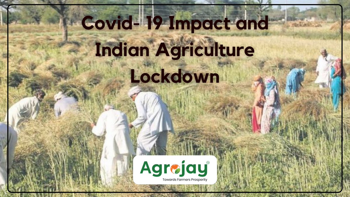 Agrojay_'s tweet photo. https://t.co/CZeP8rKUKR

Covid- 19 Impact and Indian Agriculture Lockdown
Multiplying of the farmer's pay program started and guided by central and state governments will surely be adversely influenced because of the ill impacts of Covid-19.
@nashik_feed #agrojay #farmersmarket https://t.co/tE15rbHMsB