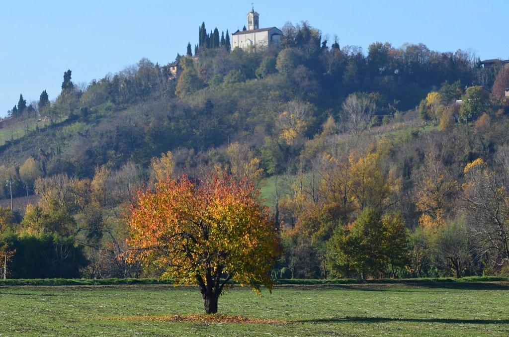 vidoiltiro photo