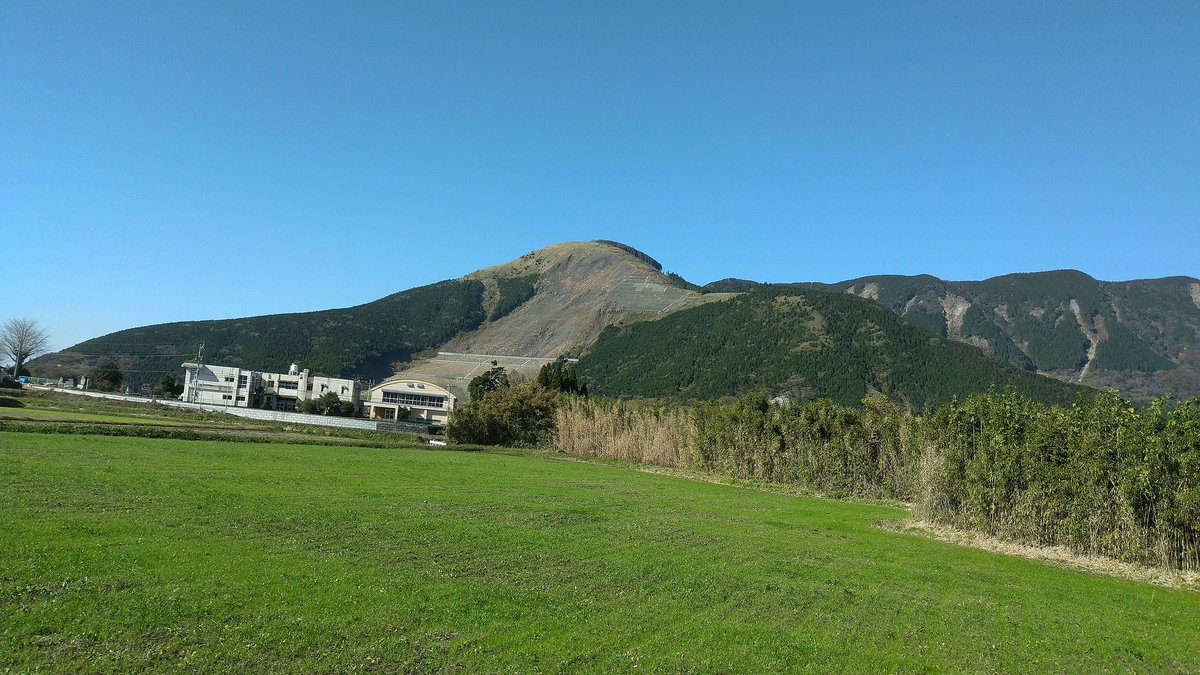 たま姫 tweet media