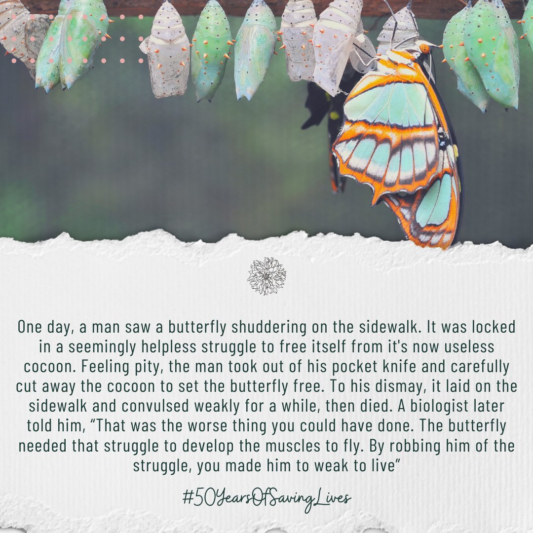 DynamicYouthInc's tweet photo. To rescue someone from the natural consequences of their behavior is to render them powerless. π¦
#Recovery #Addiction #StopTheStima #AddictionRecovery #50YearsOfSavingLives #NewYorkTough #Instagood #Butterfly #Treatment #Rehab #SubstanceUse #Enable #Enabling #DrugAddiction https://t.co/mKZVvOkFWD