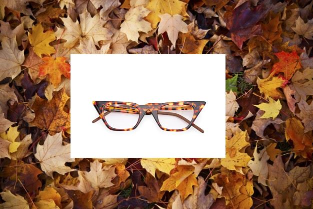 BotikeParafarm's tweet photo. El color del otoño también se refleja en nuestras gafas. Las gafas de presbicia Glossy marrones se convertirán en tu complemento estrella este otoño. 
.
#gafaspresbicia #gafas #gafasvista #parafarmacia #parafarmaciaonline 
.
https://t.co/PM301JctVZ https://t.co/W2c63DAeBR