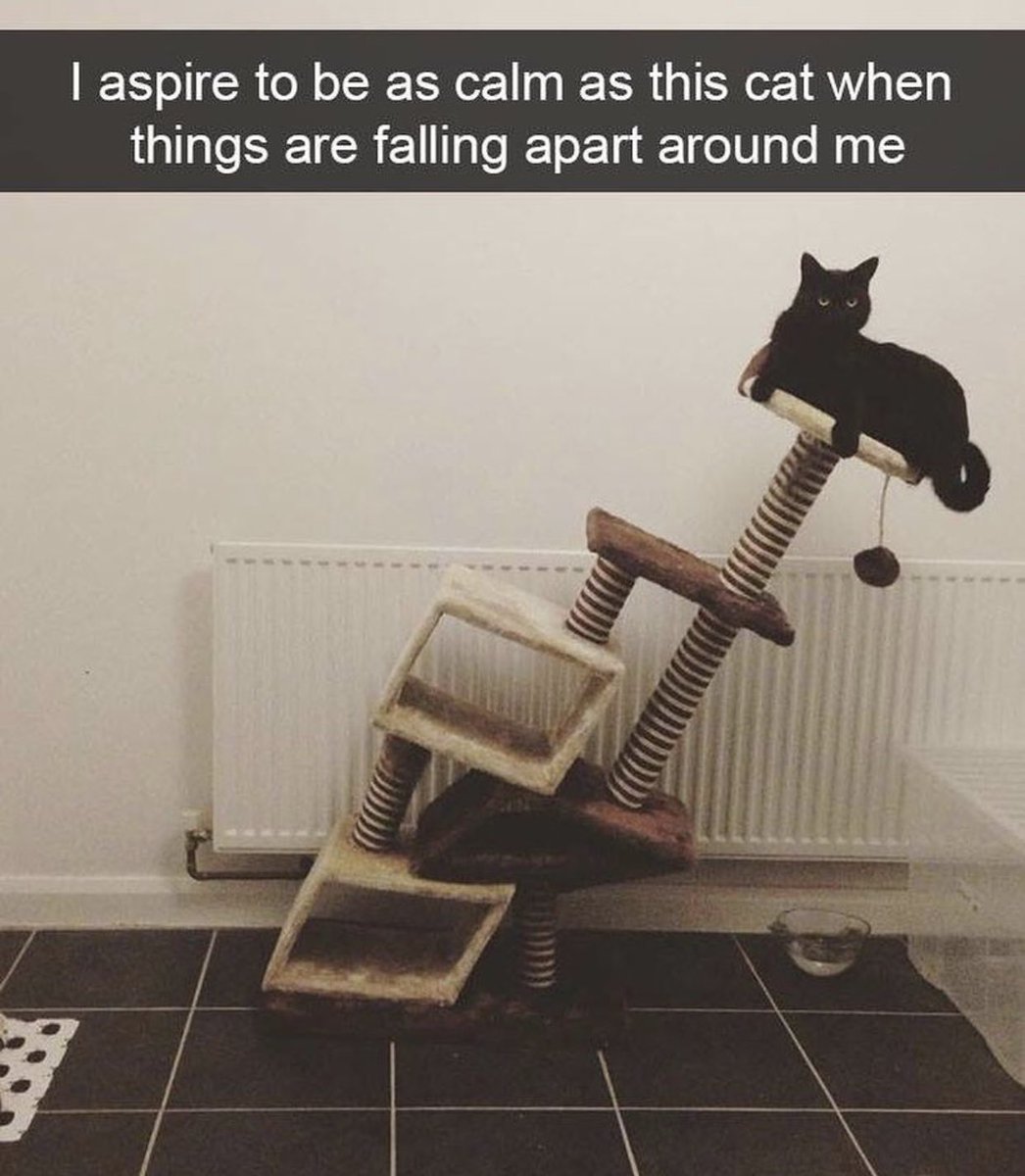 Watercatlor tweet media