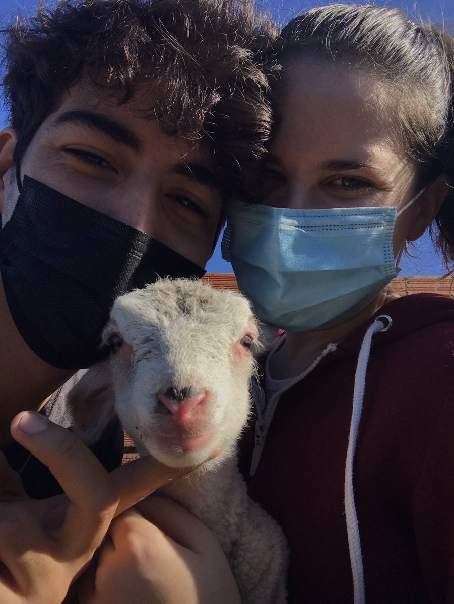 RaulBenitezCaro's tweet photo. La combi completa 🐑 @_Crisglez https://t.co/9X7f5IEzLD