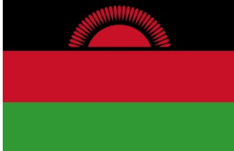 ACERWC_CSOForum's tweet photo. *Malawian Submitions
Government should put measuresto protect children from rape by sensitizing the community and implementing programs in the society https://t.co/8ojYL9YXDM