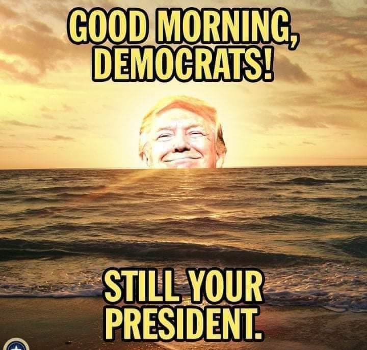Insert_Insults's tweet photo. @BlargBurgle @BackWoo81391180 @realDonaldTrump https://t.co/gmupOCdB8w