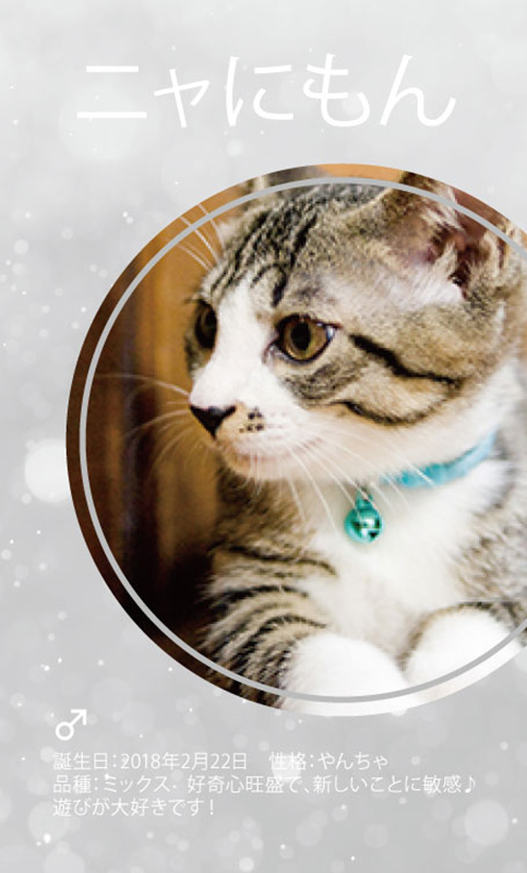 ニャにもん 株式会社ねここち A Twitter Fwf ฅ 今井美樹さんの歌に 猫の唄 ってのがあるねん ネコ名刺の無料作成サービス ニャにもん T Co Typxfjxnyx ニャにもん Nyanimon 猫 T Co 8h1eyhnzct T Co Yd6giajygr