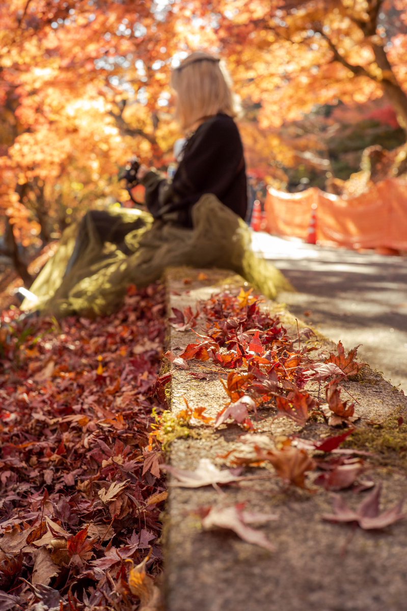 camera_8110's tweet photo. 茨城の紅葉は美しい。
#camera
#canon
#大子町
#永源寺もみじ寺
#お写んぽ
#カメラ部
#カメラ男子
#カメラ女子
#ポートレート
#キリトリセカイ
#ファインダー越しの私の世界
#カメラ好きな人と繋がりたい
#写真好きな人と繋がりたい  
#被写体募集
#モデル募集
#時が止まる世界 https://t.co/O4xNvoZoPW