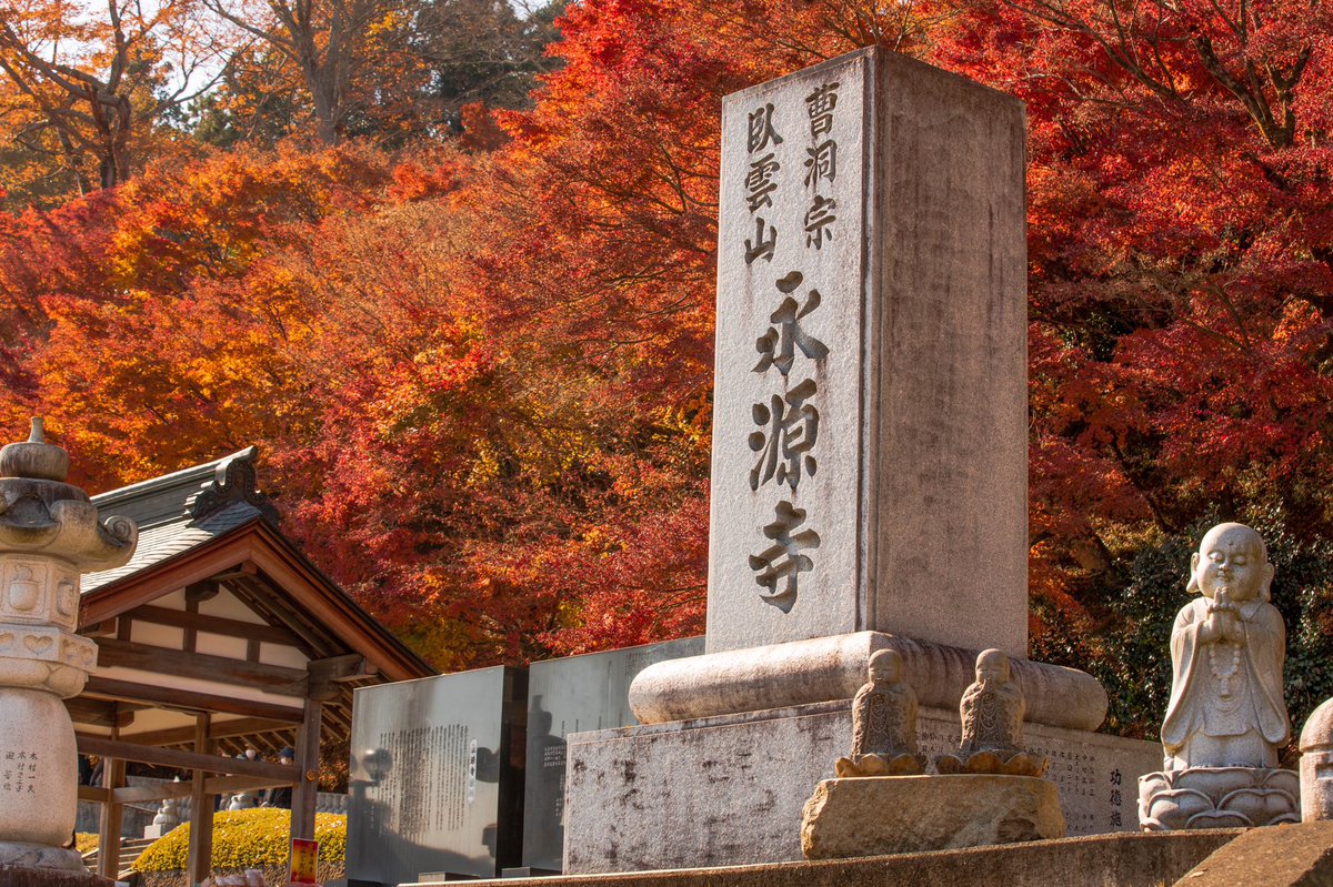 camera_8110's tweet photo. 茨城の紅葉は美しい。
#camera
#canon
#大子町
#永源寺もみじ寺
#お写んぽ
#カメラ部
#カメラ男子
#カメラ女子
#ポートレート
#キリトリセカイ
#ファインダー越しの私の世界
#カメラ好きな人と繋がりたい
#写真好きな人と繋がりたい  
#被写体募集
#モデル募集
#時が止まる世界 https://t.co/O4xNvoZoPW