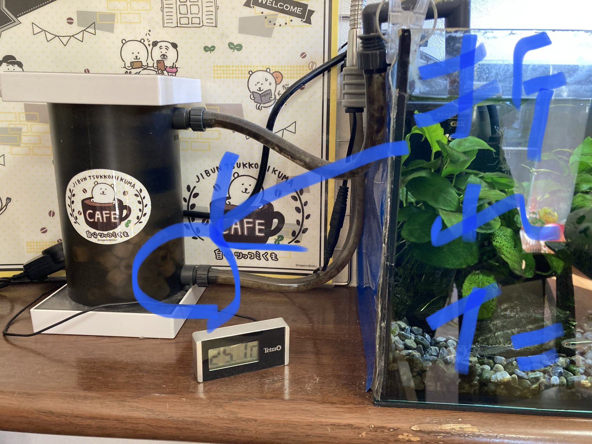 元すきっぱーyasuす 2年使ったgexメガパワー45にダブルタップを取り付けようと始めてホースを外したらタンク側のホース取付けるところが折れた 色々電話して3軒目で購入 使うのはタンクだけなんかすっげー高くついたわ ろ材とかステッカーも移植した