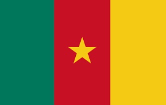 ACERWC_CSOForum's tweet photo. Cameroonian Submitions
Government should help children with problem law to get justice
No laws has been established in regards to child marriage
Not everyone knows about Children's rights and especially in their national language
Children shouldn't go to prison https://t.co/5pgeCpHqu6