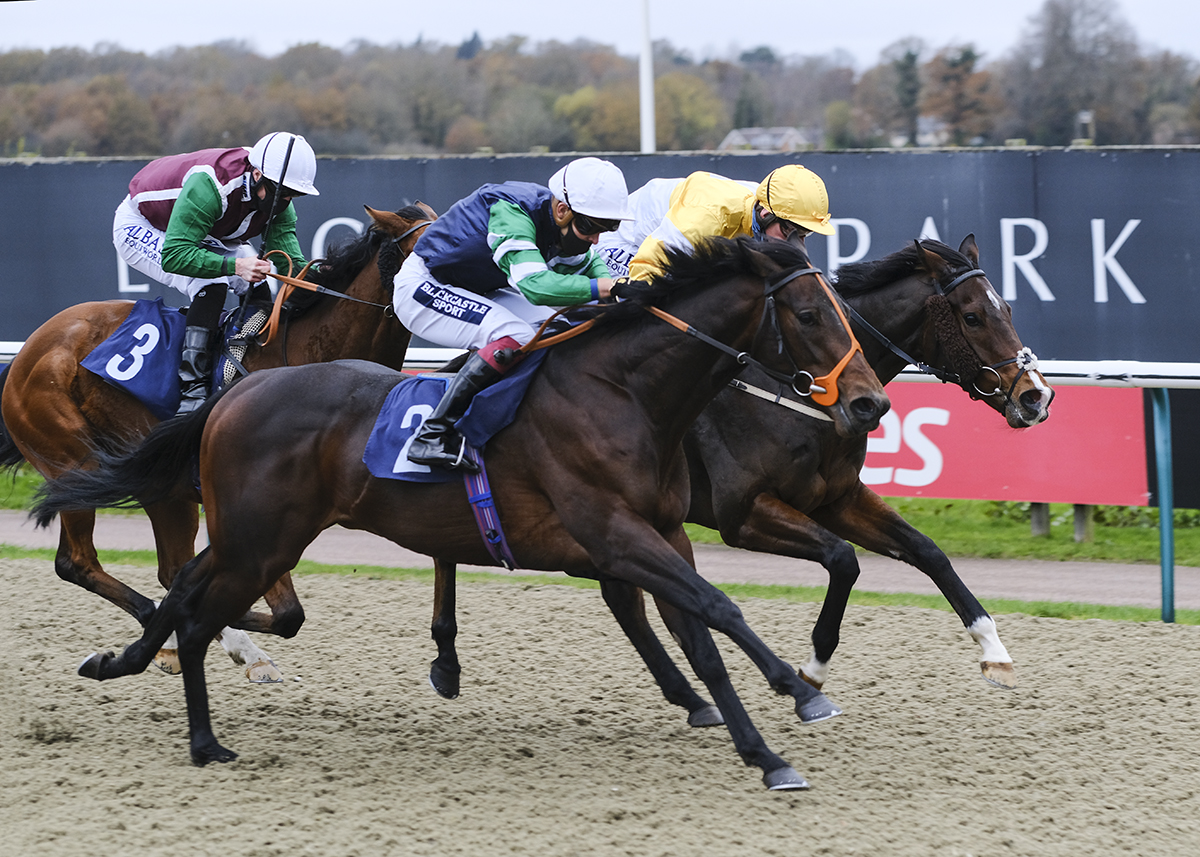 LingfieldPark's tweet photo. RACE 2 RESULT - Get Your @Ladbrokes Daily Odds Boost Selling Stakes
🥇 Cliffcake
🥈 Rishworthian
🥉 Cuban Fox
Jockey: @ThoreHammer
Trainer: @rhannonracing
Owners: Des Anderson
📸: @JH_photographer https://t.co/D0d8LH6oqq