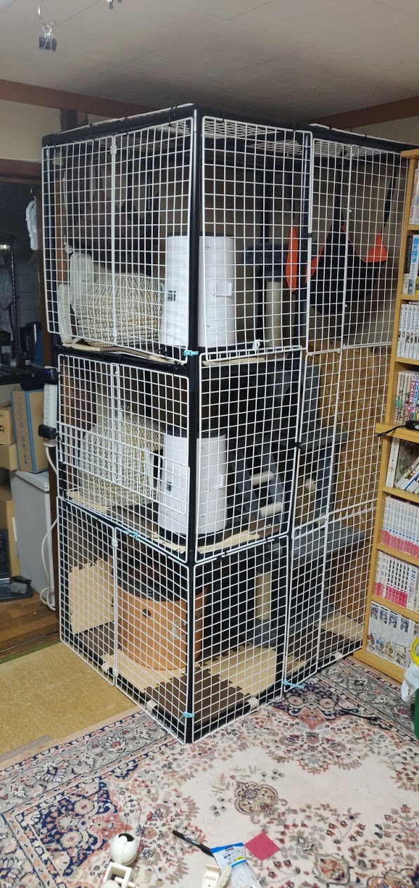 ゆた 元の3段ケージを撤去して イレクターパイプ 100均資材でクソデカキャットケージを作成 結構頑張ったものの いつも通りクソ雑diy感がすごい メンテしやすいようあちこち開閉できるようにしたから 普段はこんな感じで開放かな ゆた 元の3段ケージを撤去して イレクターパイプ 100均資材でクソデカキャットケージを作成 結構頑張ったものの いつも通りクソ雑diy感がすごい メンテしやすいようあちこち開閉できるようにしたから 普段はこんな感じで開放かな