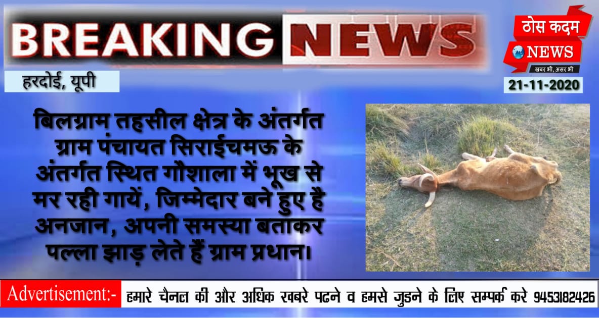 thoskadamnews's tweet photo. #हरदोई। बिलग्राम तहसील क्षेत्र के अंतर्गत ग्राम पंचायत सिराईचमऊ के अंतर्गत स्थित गौशाला में भूख से मर रही गायें, जिम्मेदार बने हुए है अनजान, अपनी समस्या बताकर पल्ला झाड़ लेते हैं ग्राम प्रधान।
@Uppolice
@Igrangelucknow
@dgpup
@CMOfficeUP
@dmhardoi
@editorSanjeet
@myogiadityanath https://t.co/hl7emzhwEs