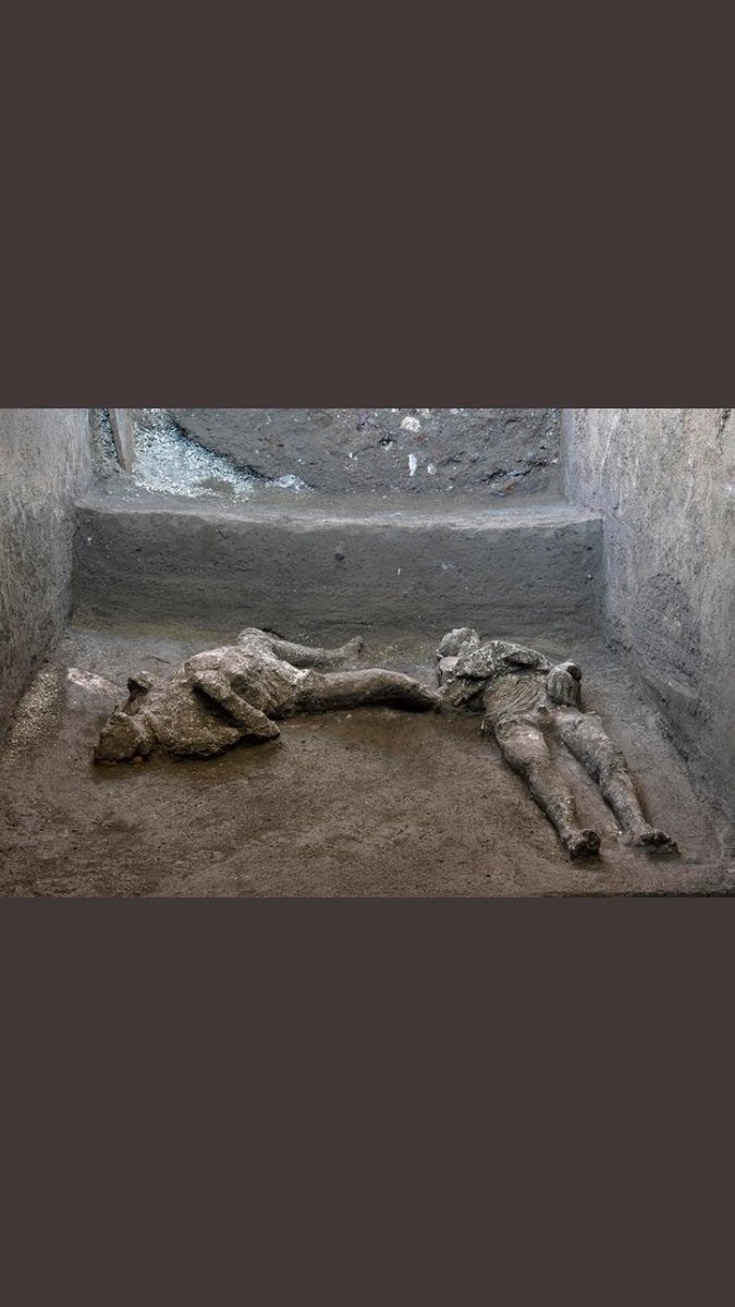 Italian Politics and Society tweet media