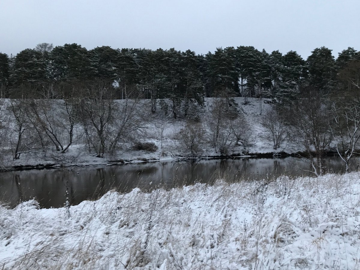 Alfa_Med's tweet photo. С наступлением зимы! #chronobiology #chronomedicine #sensitiveaudit #newsbusiness #biofeedbackmachine #biofeedback #wunderbarmedicaltech #VirtualMedica #medica2020 #Neurostim #biofeedbackmachine #biofeedback #biologicalclock #chronotype #sleep #health https://t.co/SFNWUd8dw6 https://t.co/Erx2AuorwL
