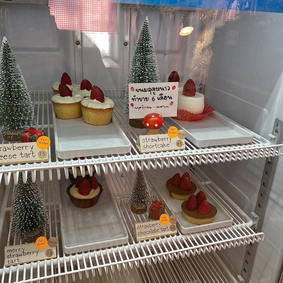 ibaconjw's tweet photo. 34 days until (🎄) https://t.co/ggEGNoGu9y