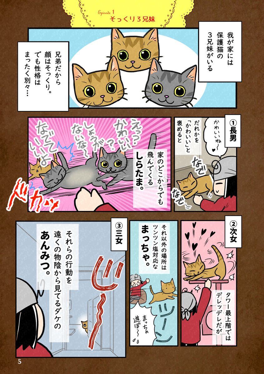 そっくりだけど性格の違う兄妹猫を拾った話、3匹の性格編(再掲)

#ぬこ日記 #猫漫画 #猫のいる暮らし 