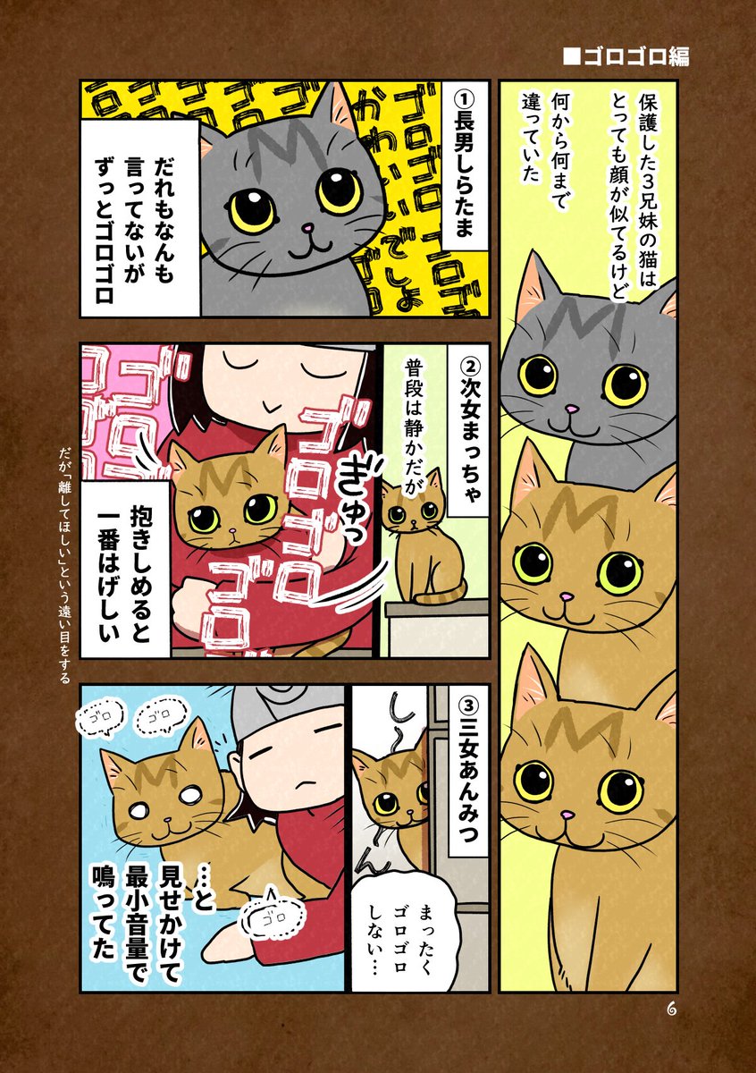 そっくりだけど性格の違う兄妹猫を拾った話、3匹の性格編(再掲)

#ぬこ日記 #猫漫画 #猫のいる暮らし 