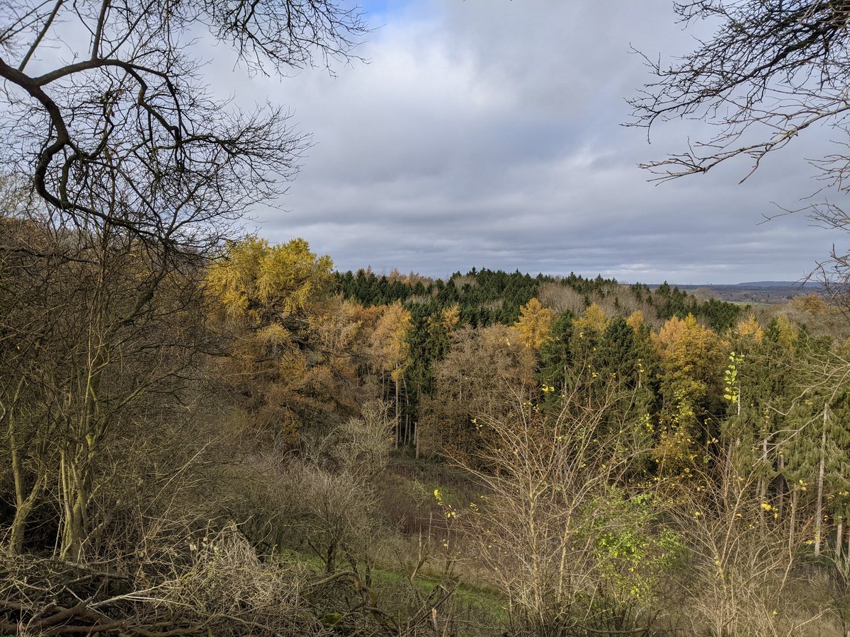 catrionacurator's tweet photo. Blustery walk on the clumps #Wittenham #IronAgeFort #Sloes (spot the depressing lockdown litter, which we ended up taking home at personal risk because it makes us so cross) https://t.co/Bdmnhllgni