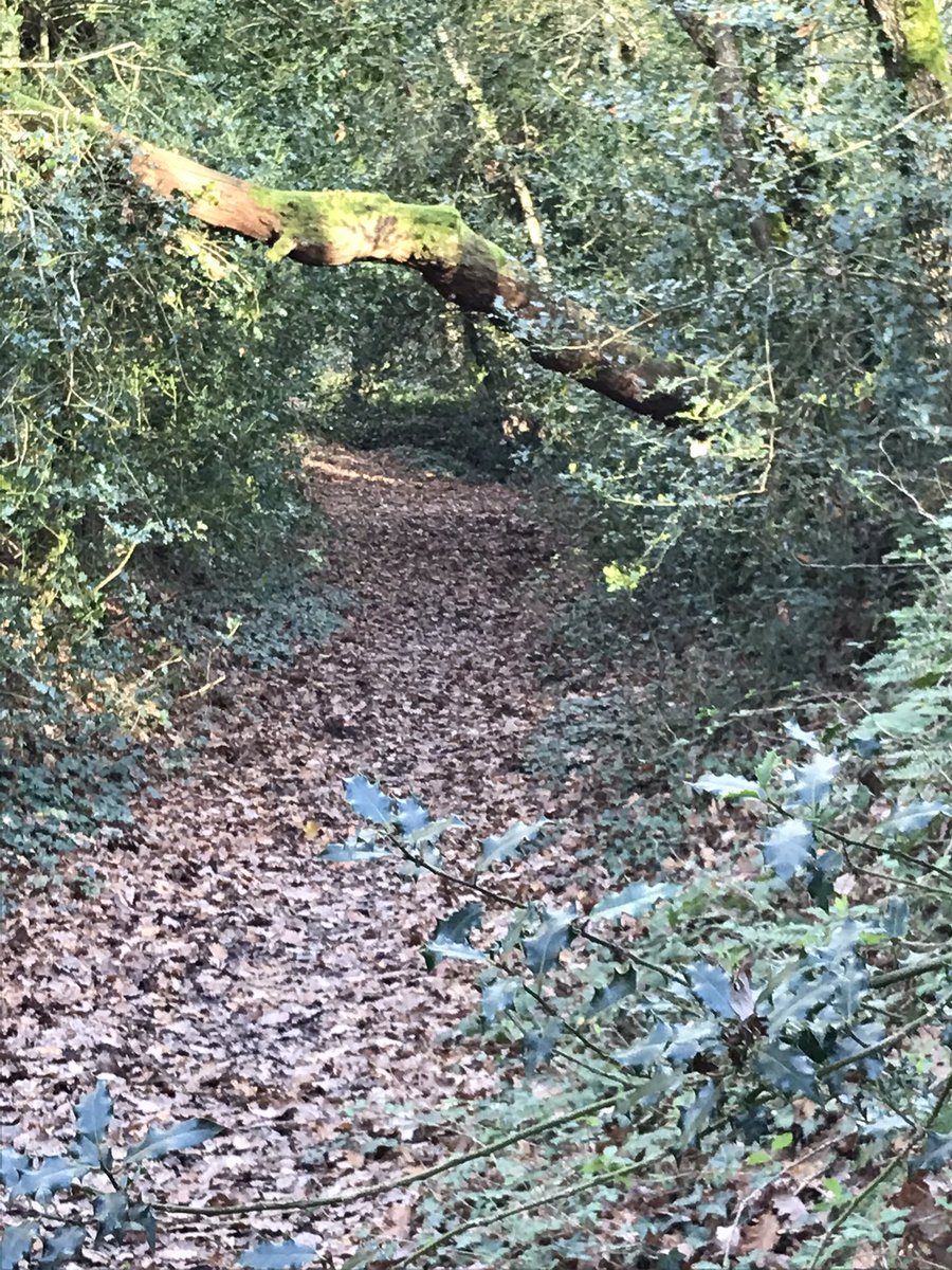 Cotiniaux Pascal tweet media