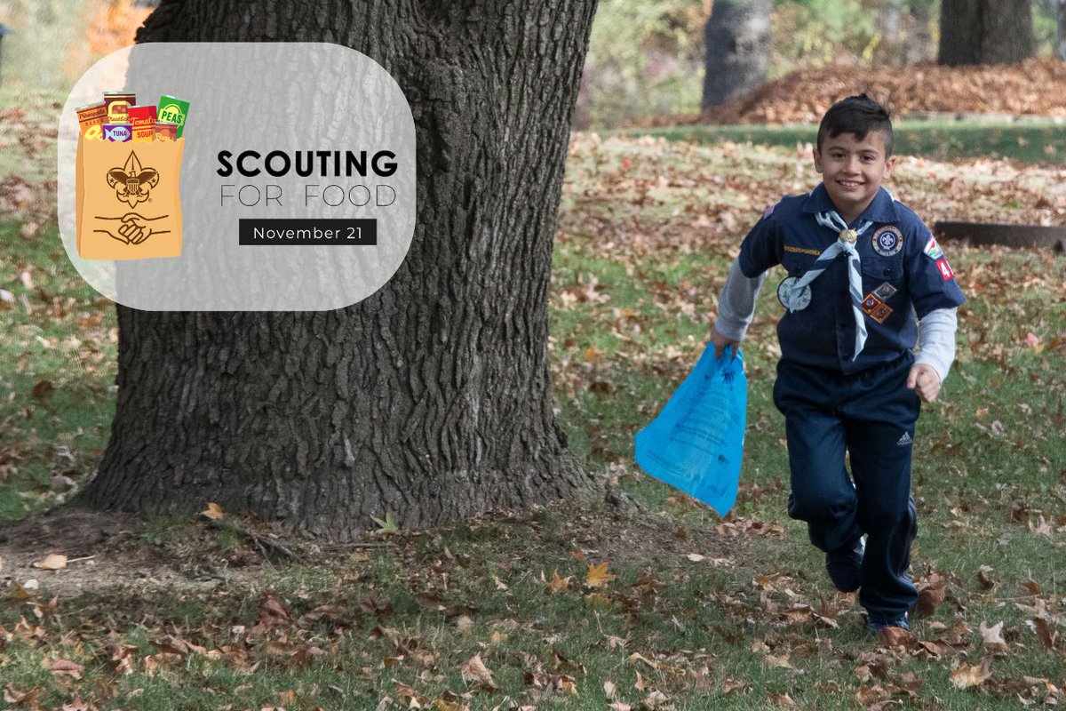 STLFoodbank's tweet image. The @stlbsa #ScoutingForFood drive looks a little different this year. There's no in-person collection, but you can text SCOUTFOOD to 91999. We can provide 100 meals w/ $25. You can also drop off non-perishable food items at a collection site near you. stlbsa.org/scouting-for-f…