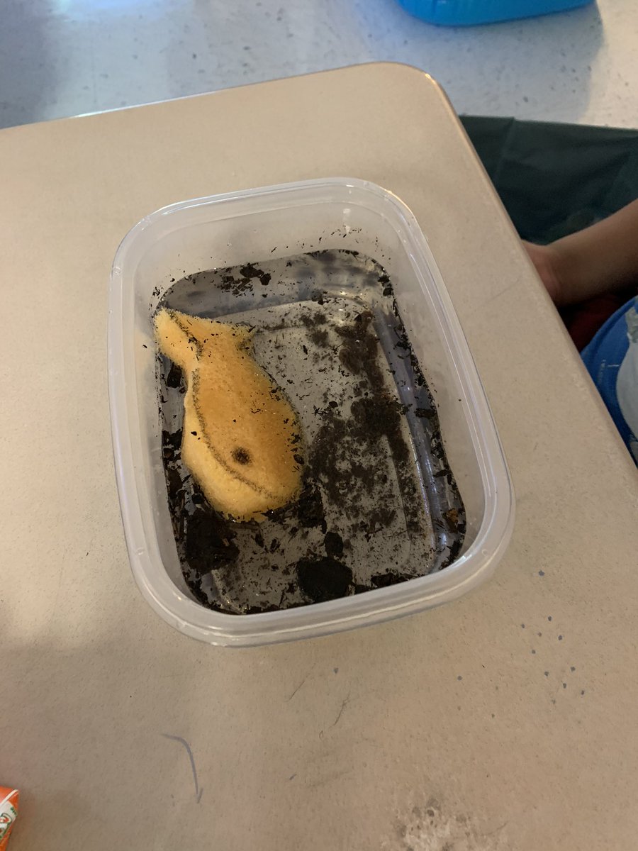 Newcomers get some hands-on learning about water pollution with Freddy the Fish! <a href="/SugarlandES/">Sugarland Elementary</a>