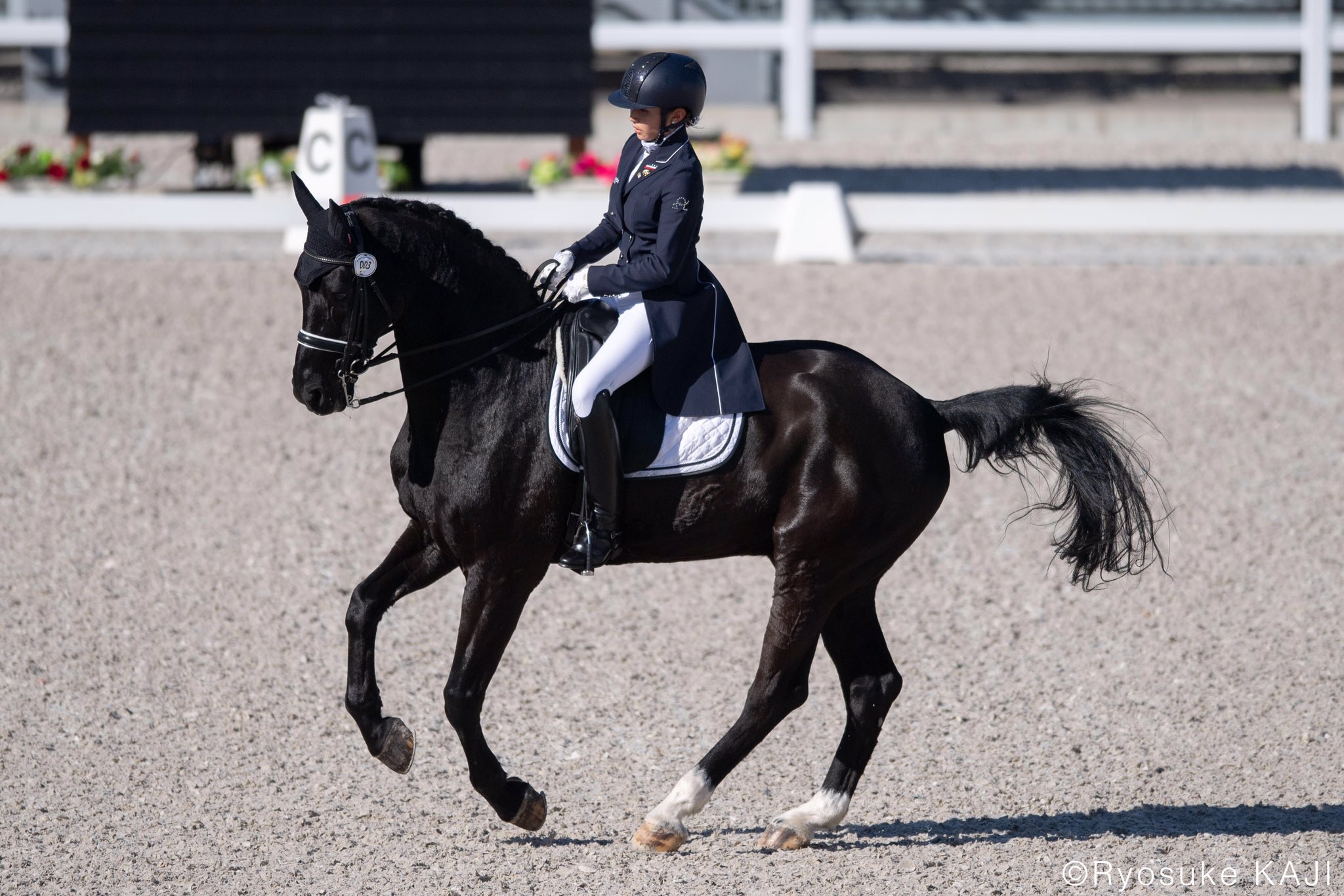 Ryosuke Kaji 馬術フォトグラファー 今週はjra馬事公苑で全日本ジュニア馬場馬術大会が行われています 通称 ジュニ選 ヤングライダー選手権予選では吉田友里恵選手とレミリア スペクトルが68 480 で1位 2位に福岡珠緒選手とティーダ 3位に神村