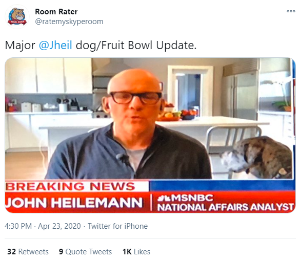 April 23rd. Pomegranates are upstaged by dog during an appearance on 'Deadline: White House'