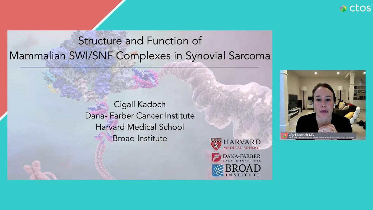 pawel_sobczuk's tweet image. Epigenome in synovial sarcoma at #CTOS2020 @CKadoch @kadochlab