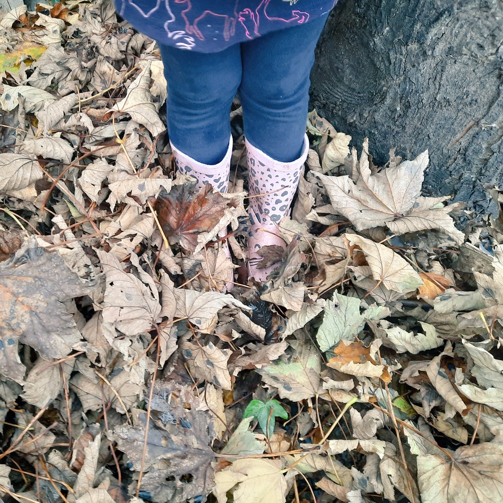 ianrmayer's tweet photo. #LeafClearing #LittleHelper #SaturdayVibes https://t.co/cuOiMTJLwh