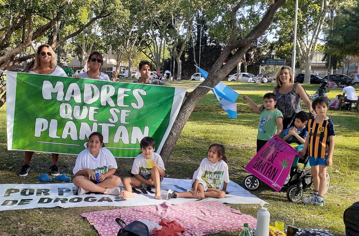 SePlantan's tweet photo. 21 de noviembre 
Marcha Nacional de la Marihuana
#nomaspresosporplantar
#porunanuevaleydedrogas https://t.co/FUlhPN4AmQ