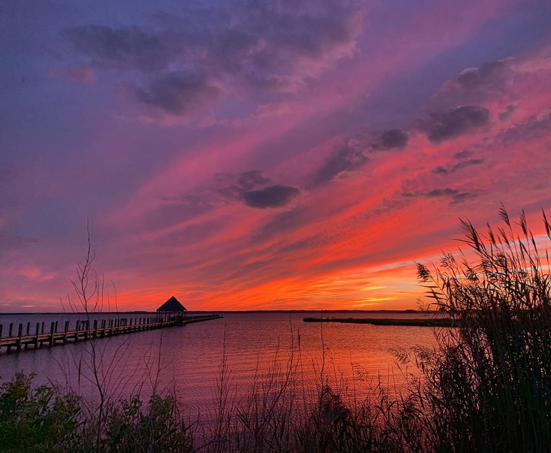OCMaryland's tweet photo. Nights spent at Northside Park > anywhere else. 😍
📷: Instagrammer @beltwaybryan #ocmd https://t.co/OY49aXsnRk