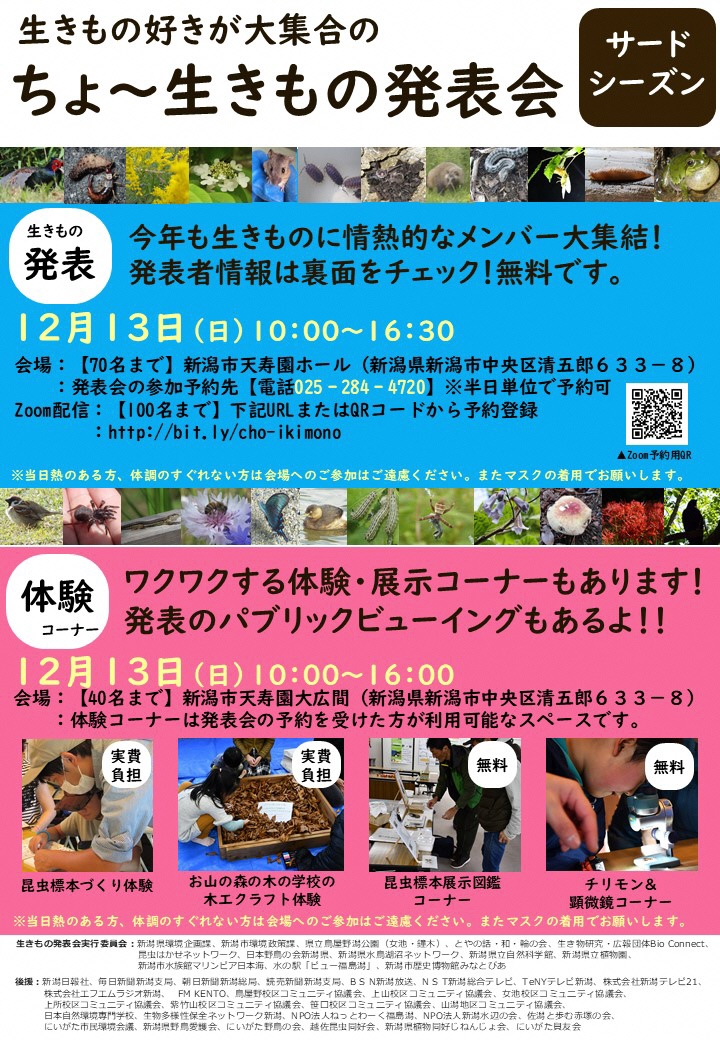 togechan5000's tweet photo. 【五泉トゲソの会】
　12月13日（日）に新潟市中央区の天寿園で生きもの発表会があります。トゲソのお話もありますので、ぜひご参加下さい！ #五泉トゲソの会 #ちょ～生きもの発表会 https://t.co/HqbNKIQB8q