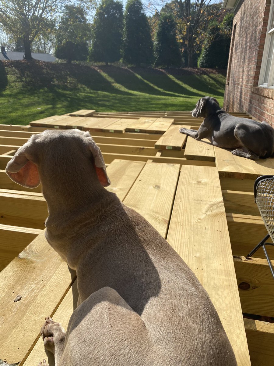 KarenJarvisPR's tweet photo. @Lowes @Trex_Company We could sure use a real update on our Trex order placed 9.9.2020 instead of emails every two weeks pushing delivery back.
Dates of 10.9, 10.23, 11.9, 11.20 and now 12.4. 🤷🏼‍♀️ Local Lowe’s couldn’t help. https://t.co/NvQo96ElXe