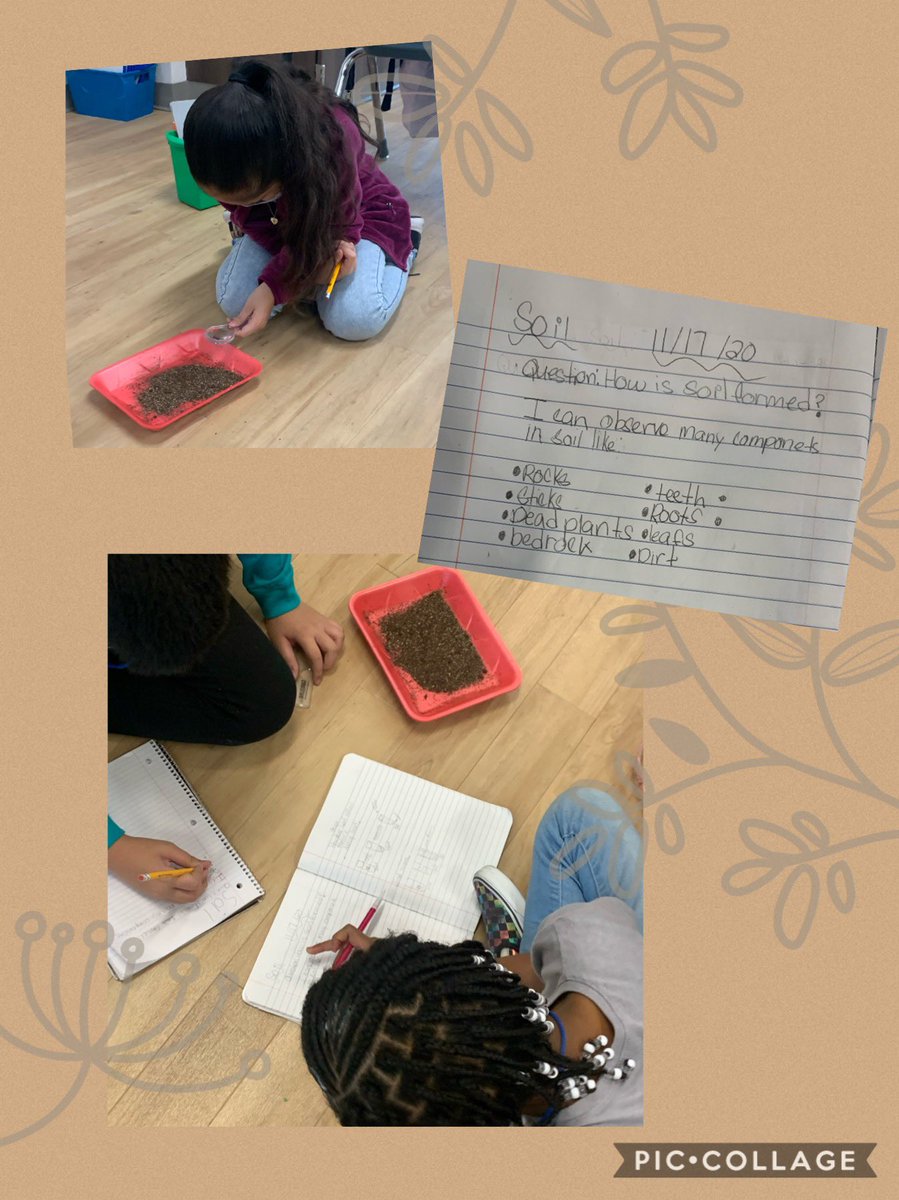MmackaymathTx's tweet photo. This week we investigated soil and it’s components. Sts learned about weathering, decomposition and humus. #Our3rdgradelife #JPEPantherPride https://t.co/BewbAdck77