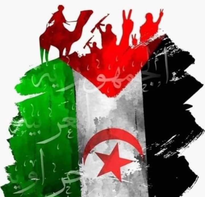 med_hakima's tweet photo. من يظن ان النصر رهين بالتجهيز والعتاد وكثرة المتكالبين على حقوق المظلوم وااااهم فهو أبسط من ذلك بكثيييير  يحتاج فقط إيمان بالقضية حيث سيسخر هذا الأخير جميع الظروف والأشياء لتحقيق النصر💕💕💕
#البوليساريوتنتصر https://t.co/FYcRPw9smC