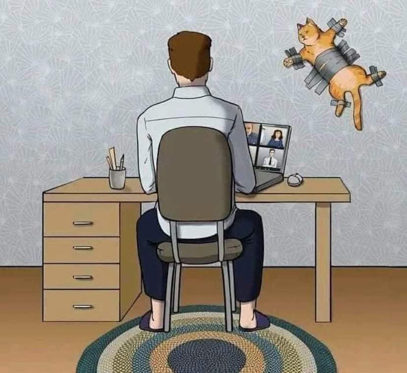 notlaughing's tweet photo. Prepping for zoom meetings be like: https://t.co/VxVCofep6u